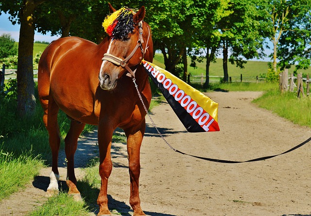 Swingers将于2026年把疯狂高尔夫与嘉年华乐趣带到波士顿